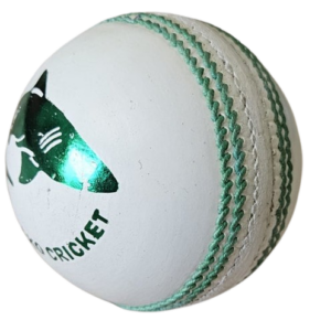 Cricket Ball 1