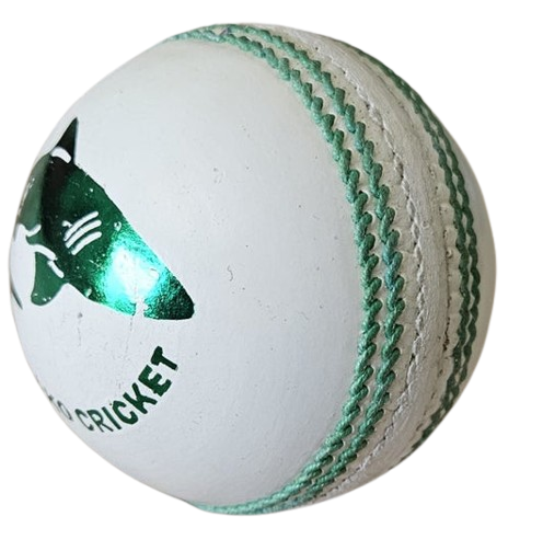 Cricket Ball 1